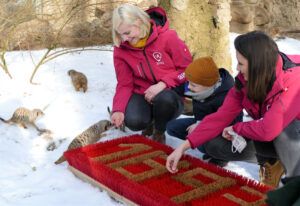 Foto: Matthias Wagner